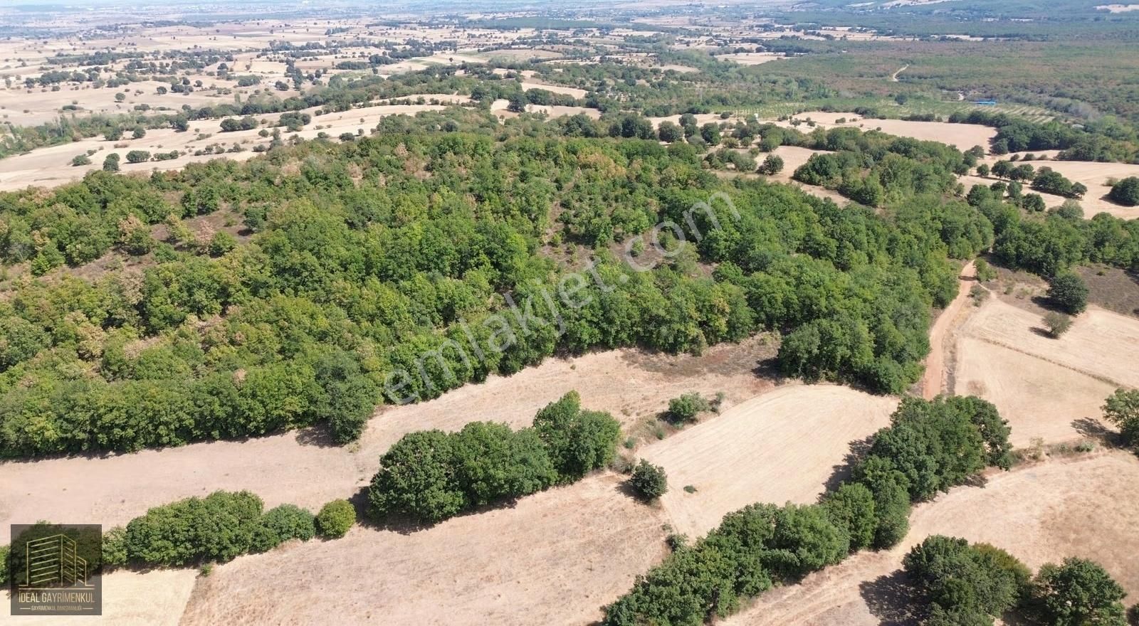 Çanakkale Biga Kozçeşme Köyü'nde 3.600 M2 Satılık Tarla - Görsel 24