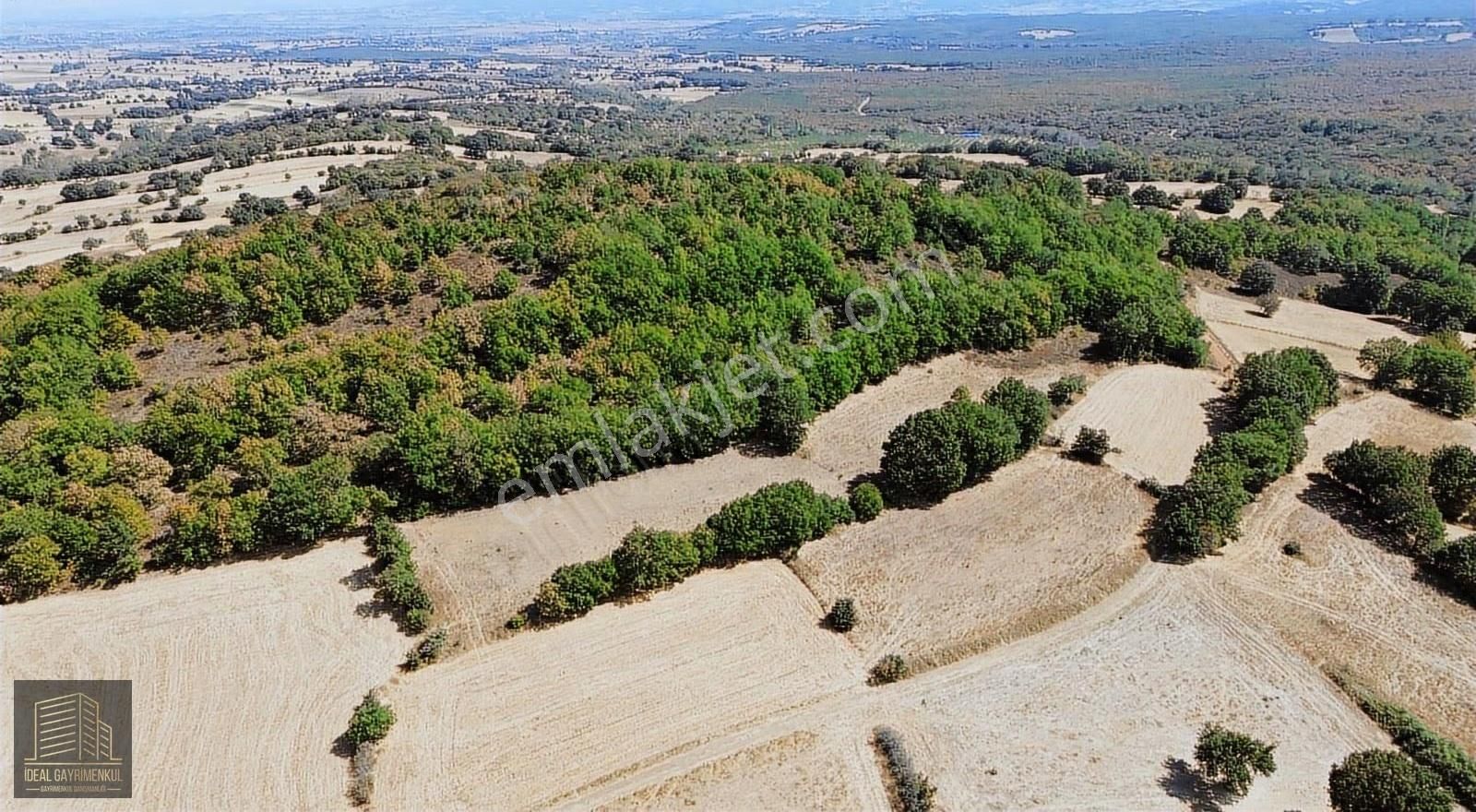 Çanakkale Biga Kozçeşme Köyü'nde 3.600 M2 Satılık Tarla - Görsel 8