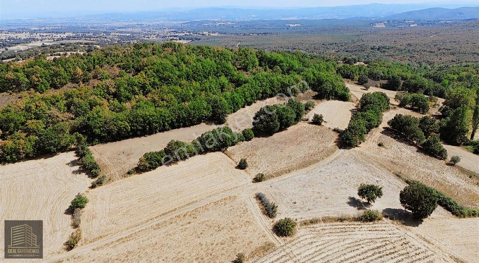 Çanakkale Biga Kozçeşme Köyü'nde 3.600 M2 Satılık Tarla - Görsel 18