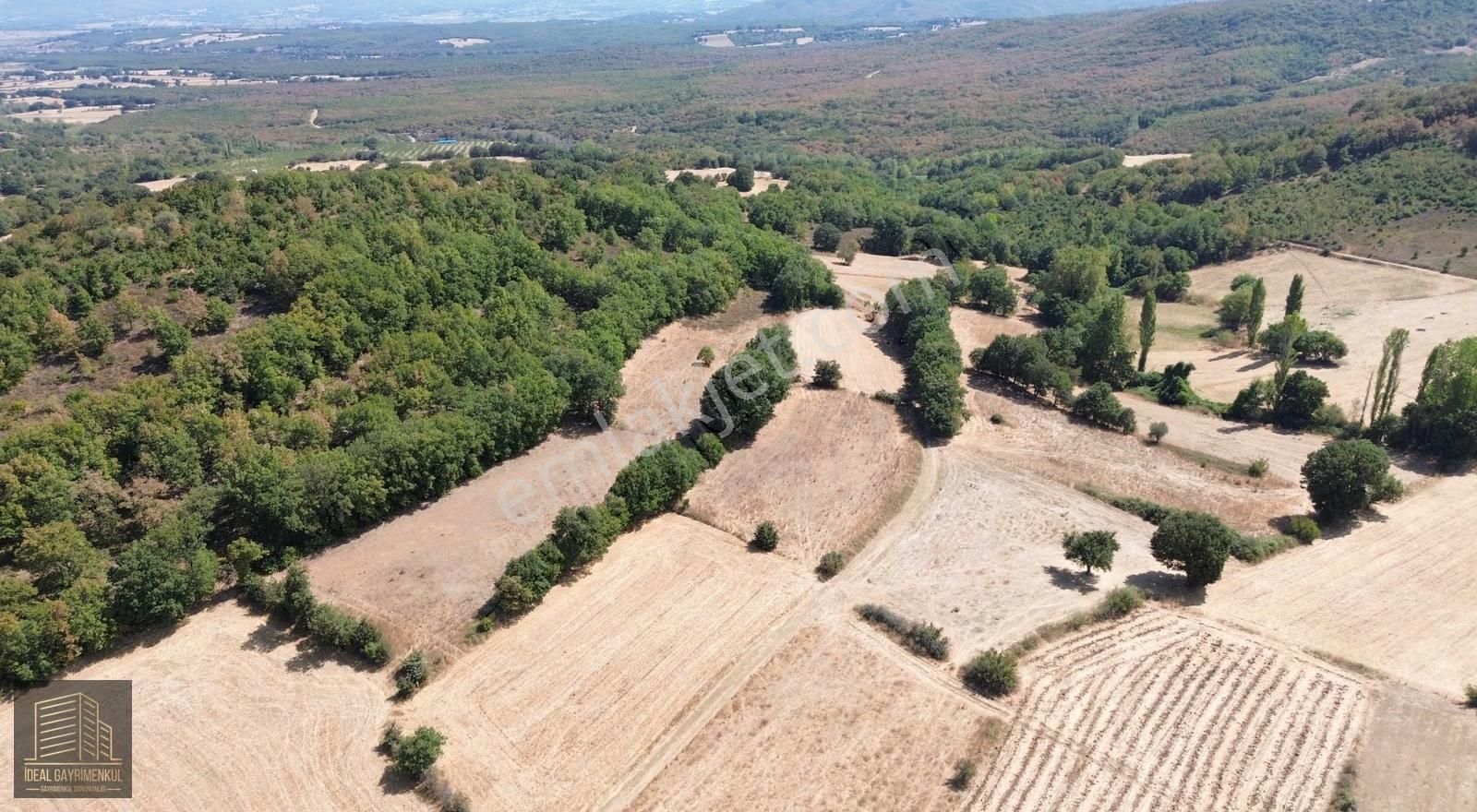 Çanakkale Biga Kozçeşme Köyü'nde 3.600 M2 Satılık Tarla - Görsel 4