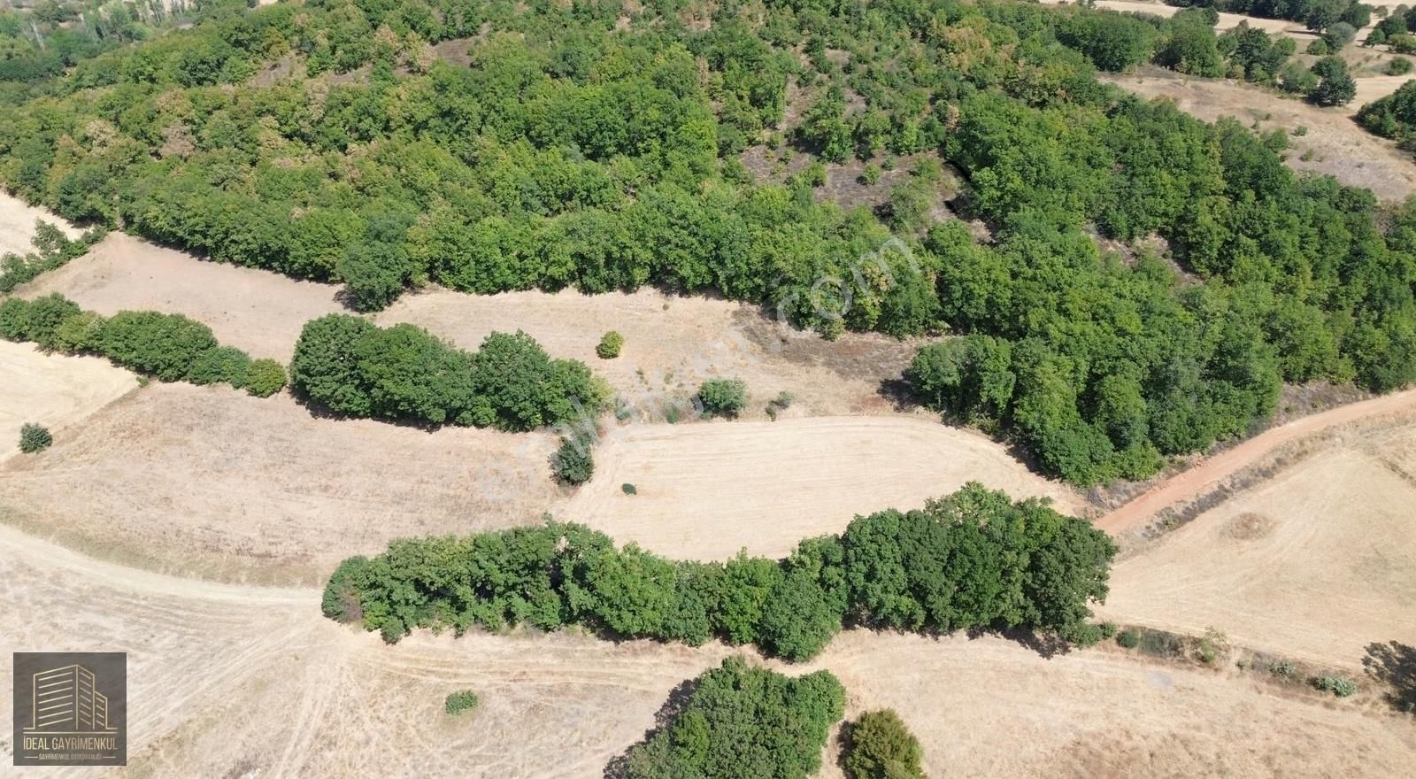 Çanakkale Biga Kozçeşme Köyü'nde 3.600 M2 Satılık Tarla - Görsel 16