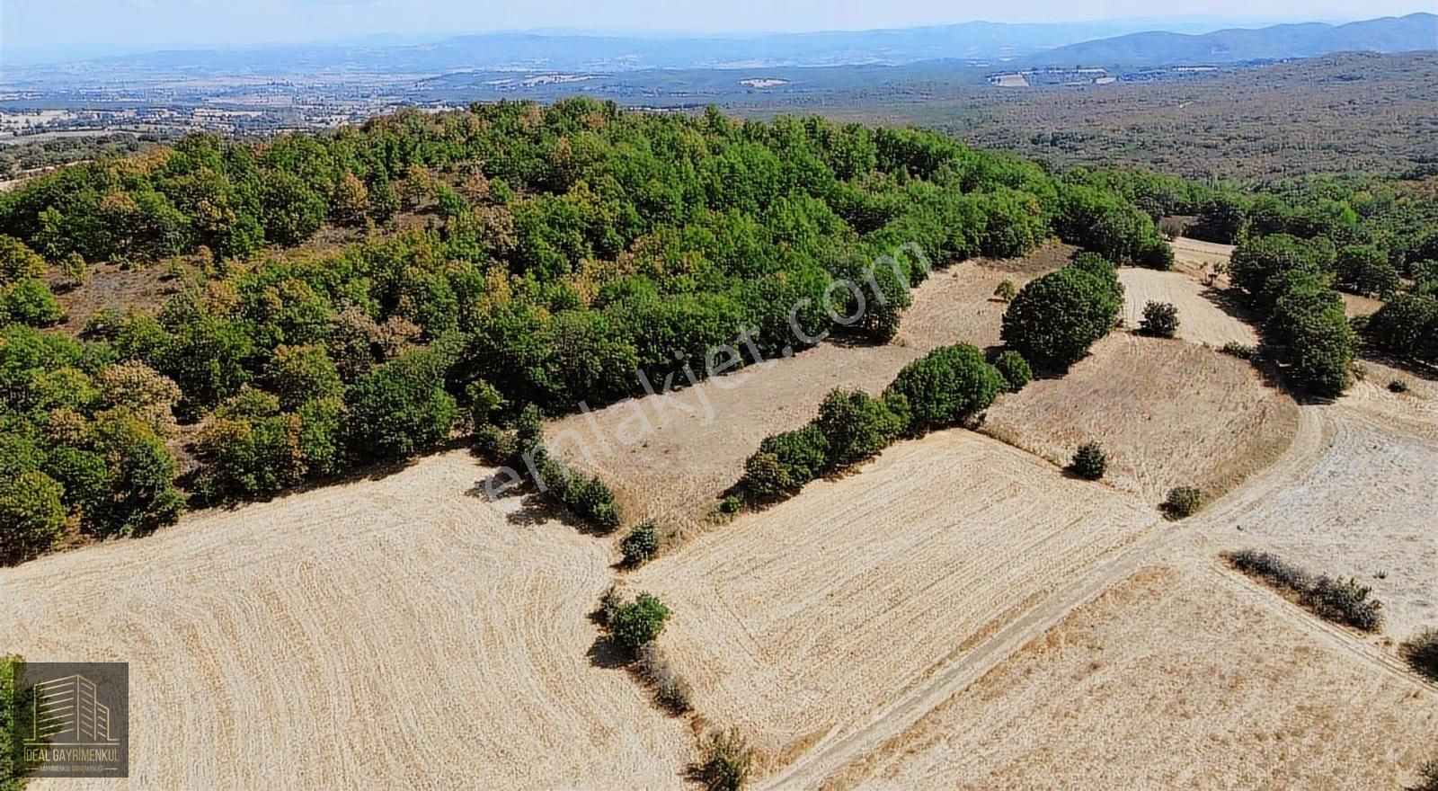 Çanakkale Biga Kozçeşme Köyü'nde 3.600 M2 Satılık Tarla - Görsel 19