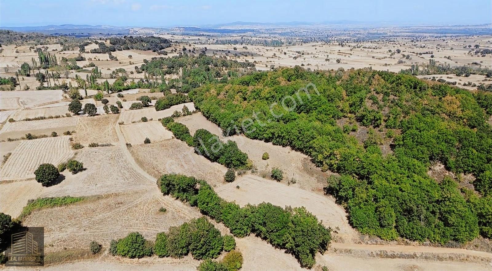 Çanakkale Biga Kozçeşme Köyü'nde 3.600 M2 Satılık Tarla - Görsel 14
