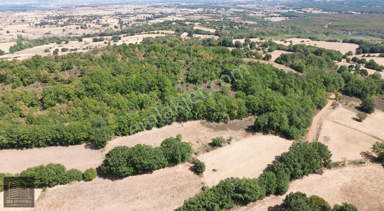 Çanakkale Biga Kozçeşme Köyü'nde 3.600 M2 Satılık Tarla - Görsel 13