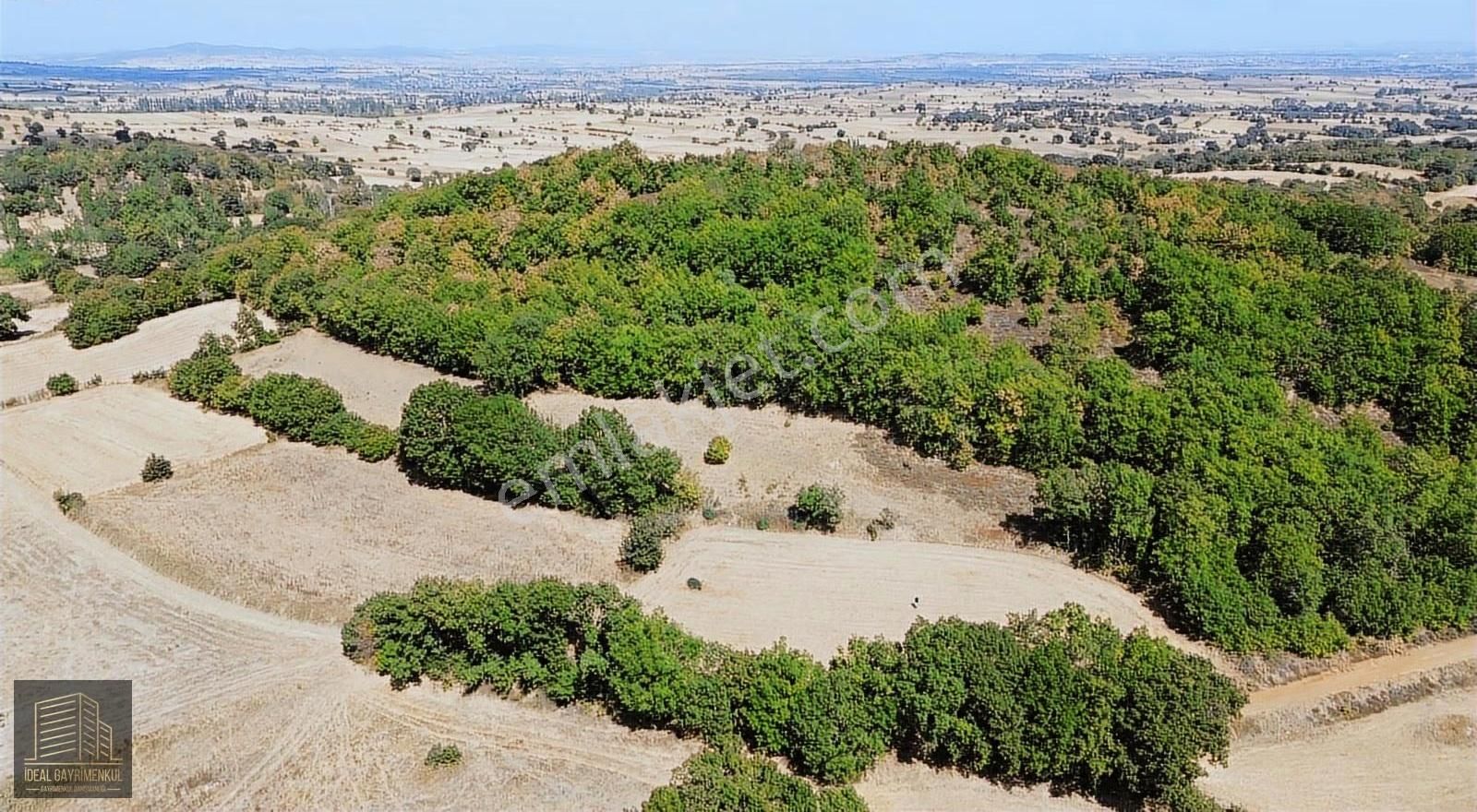 Çanakkale Biga Kozçeşme Köyü'nde 3.600 M2 Satılık Tarla - Görsel 15