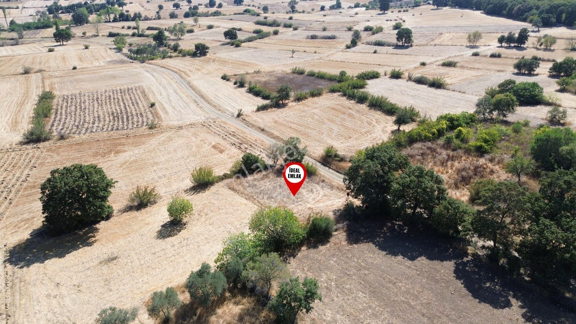 Kozçeşme Köyü'nde, Yatırım Fırsatı: 482 M² Tarla Satılık! - Görsel 20