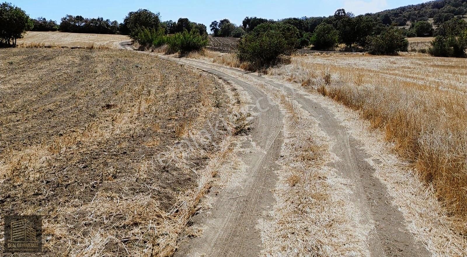 Çanakkale Biga Kozçeşme'de Kaçırılmayacak Fırsat: 2300 M² Tarla - Görsel 20