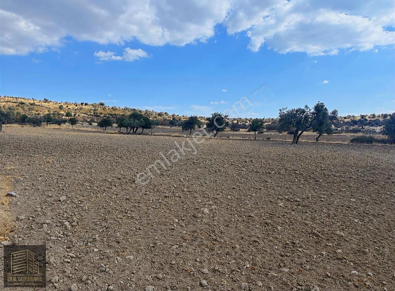 Çanakkale Ezine Karadağ Köyü'de 43.000 M2 Satılık Arazi - Görsel 11