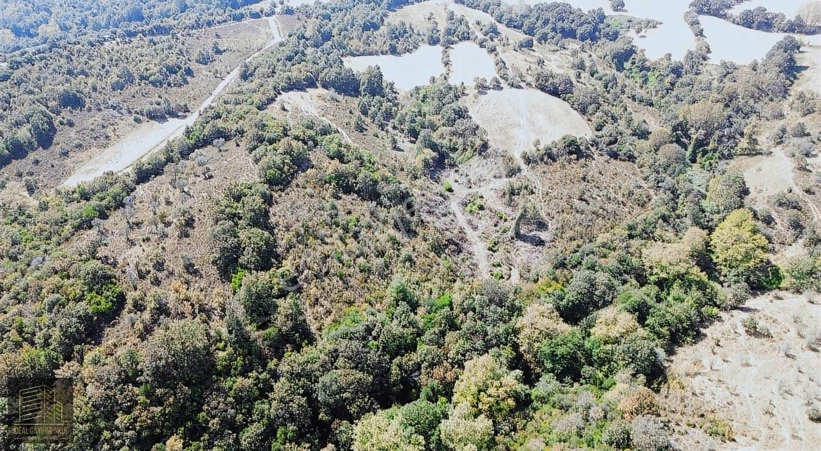 Çanakkale Lapseki Güreci Köyü'nde 12.016 M2 Satılık Arazi - Görsel 15