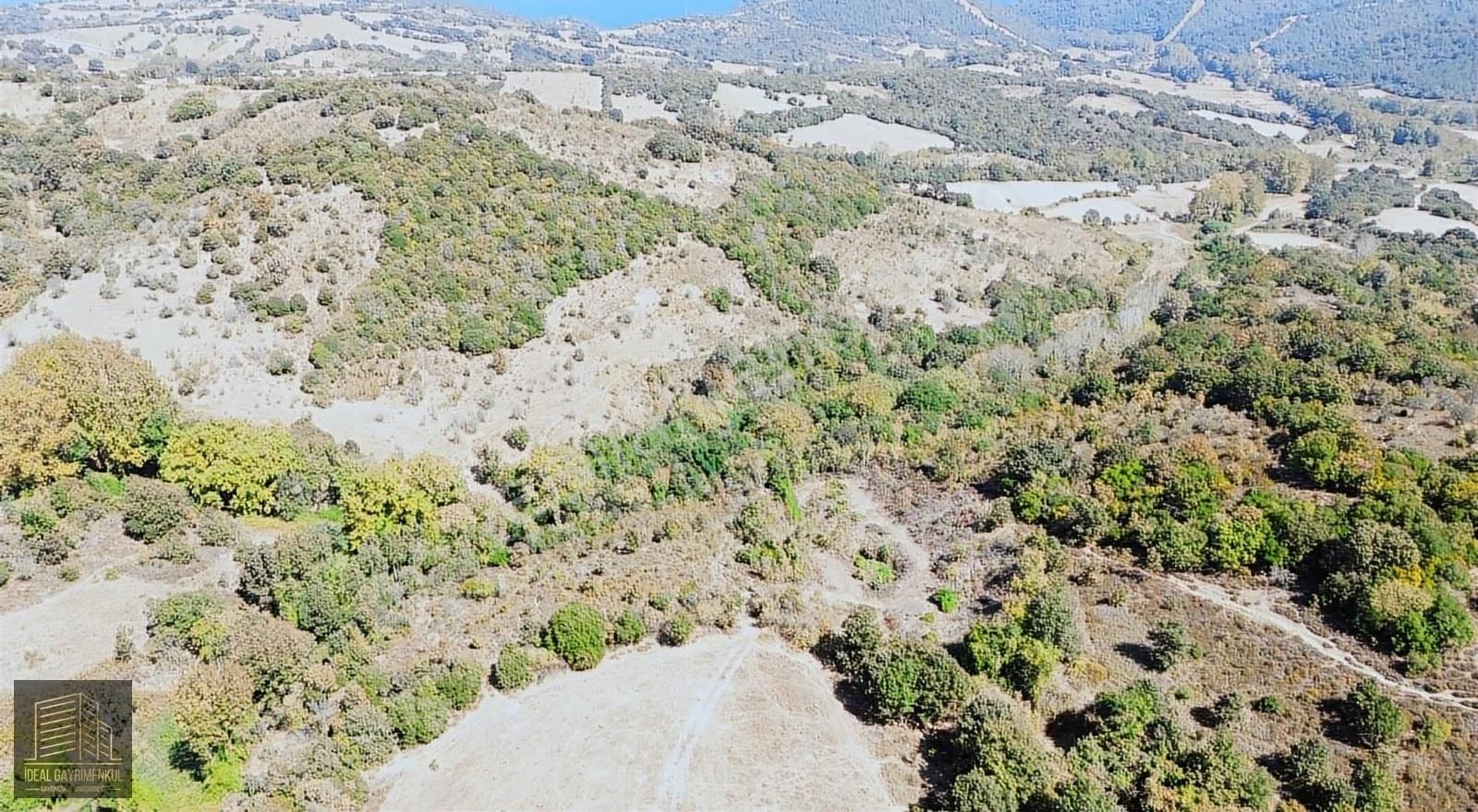 Çanakkale Lapseki Güreci Köyü'nde 12.016 M2 Satılık Arazi - Görsel 18