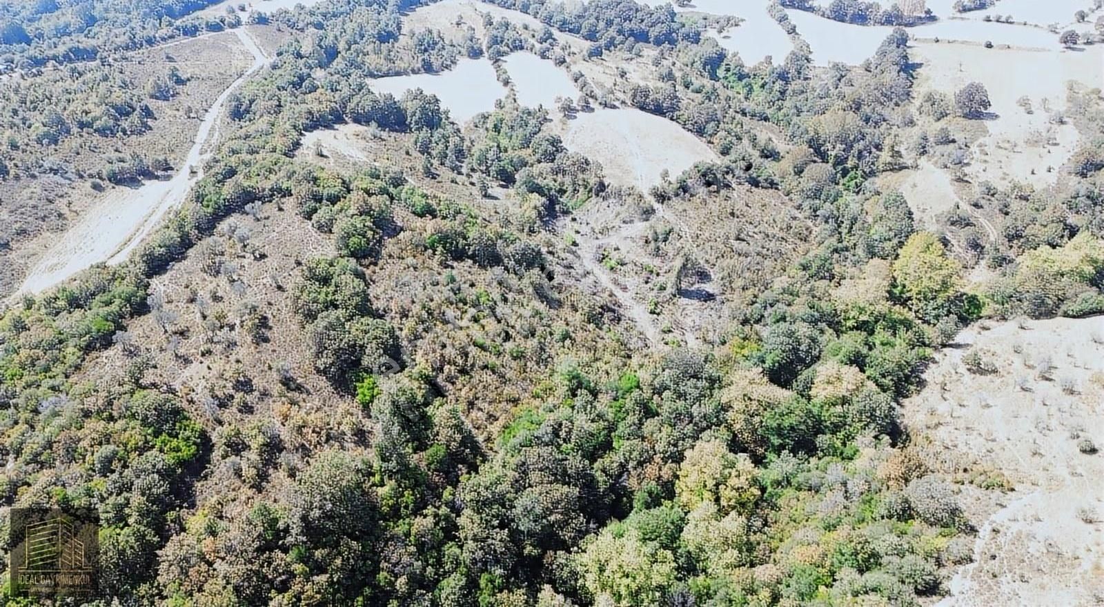 Çanakkale Lapseki Güreci Köyü'nde 12.016 M2 Satılık Arazi - Görsel 3