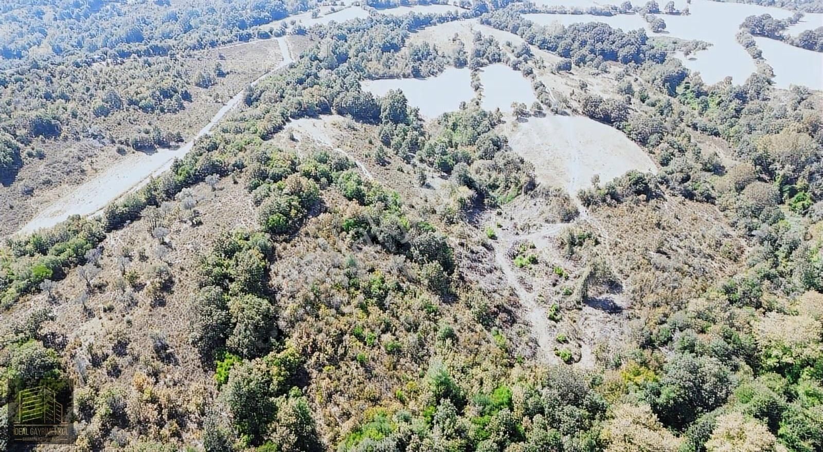 Çanakkale Lapseki Güreci Köyü'nde 12.016 M2 Satılık Arazi - Görsel 27