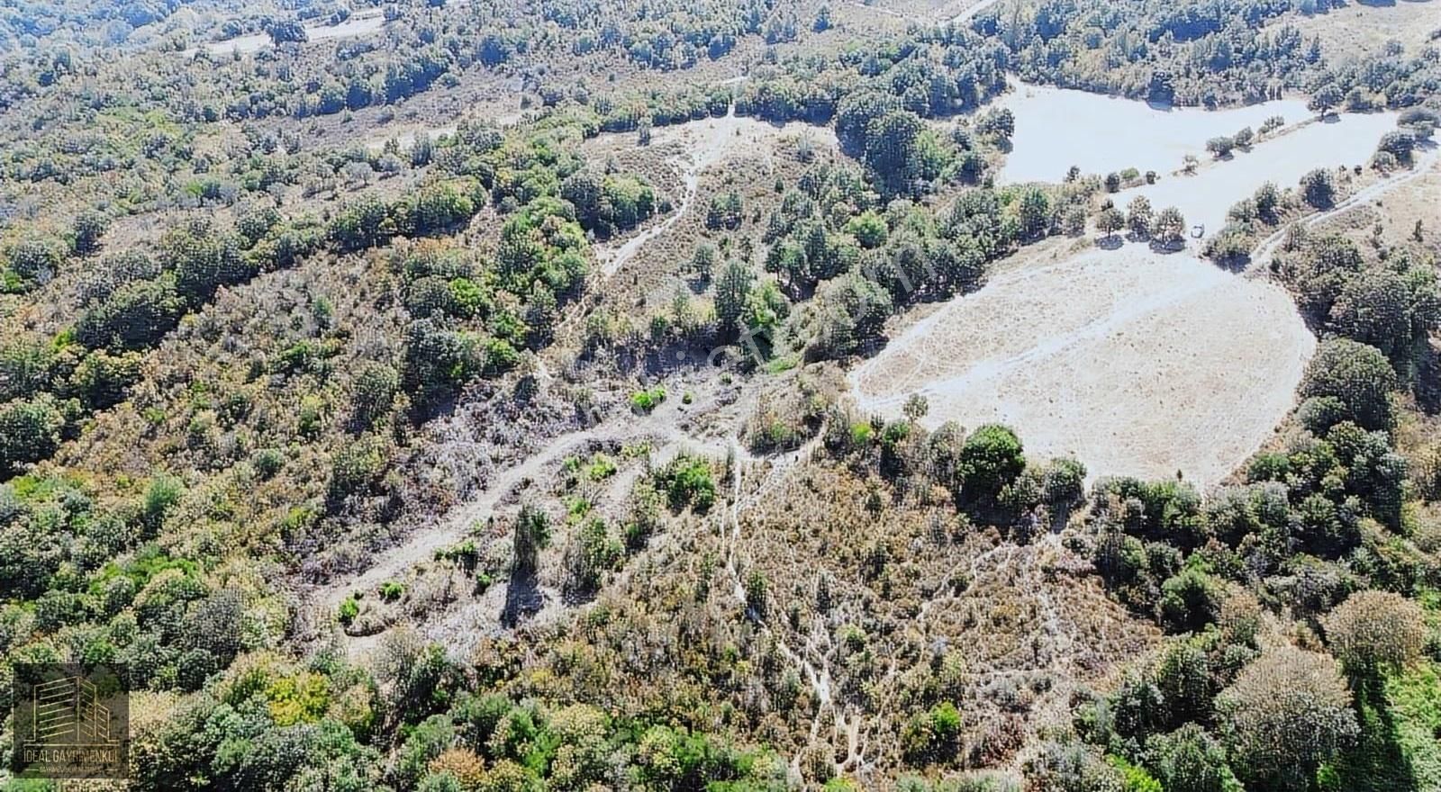 Çanakkale Lapseki Güreci Köyü'nde 12.016 M2 Satılık Arazi