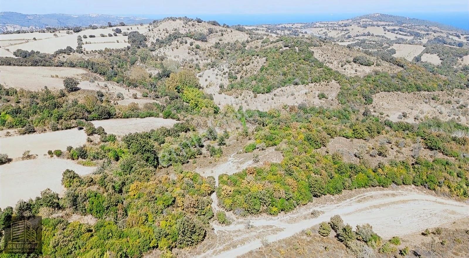 Çanakkale Lapseki Güreci Köyü'nde 12.016 M2 Satılık Arazi - Görsel 19