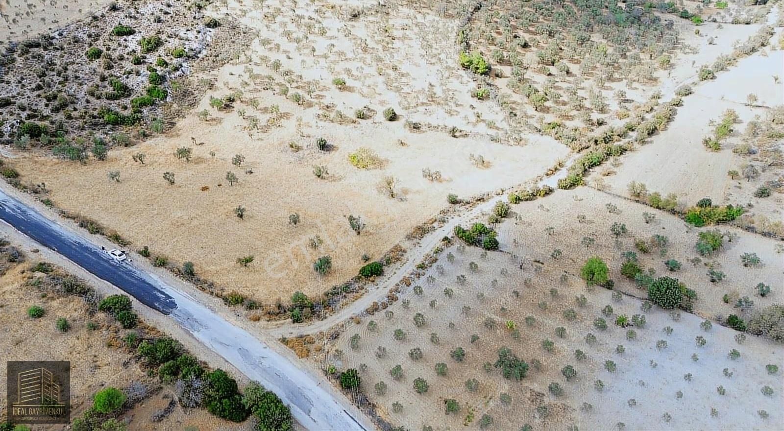 Çanakkale Ezine Karadağ Köyü'nde Eşsiz Fırsat!!!