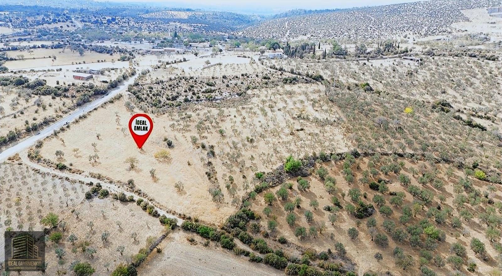 Çanakkale Ezine Karadağ Köyü'nde Eşsiz Fırsat!!! - Görsel 11