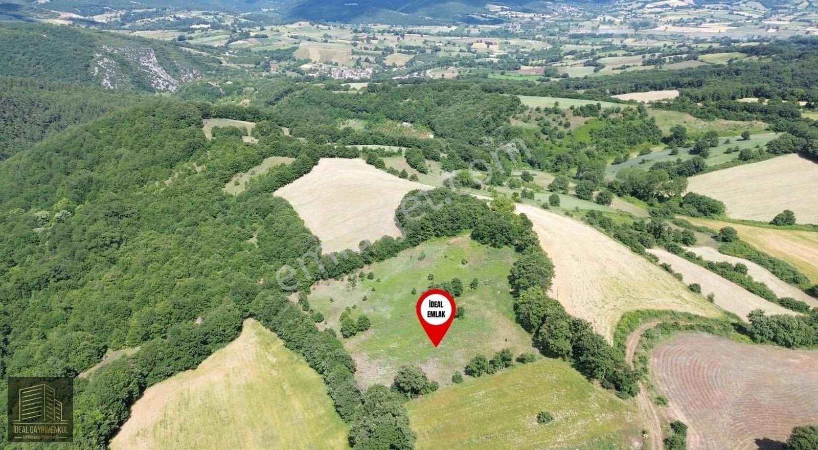 Altıkulaç Köyü'nde Hobi Bahçesi İçin İdeal 3.507 M2 Tarla - Görsel 12