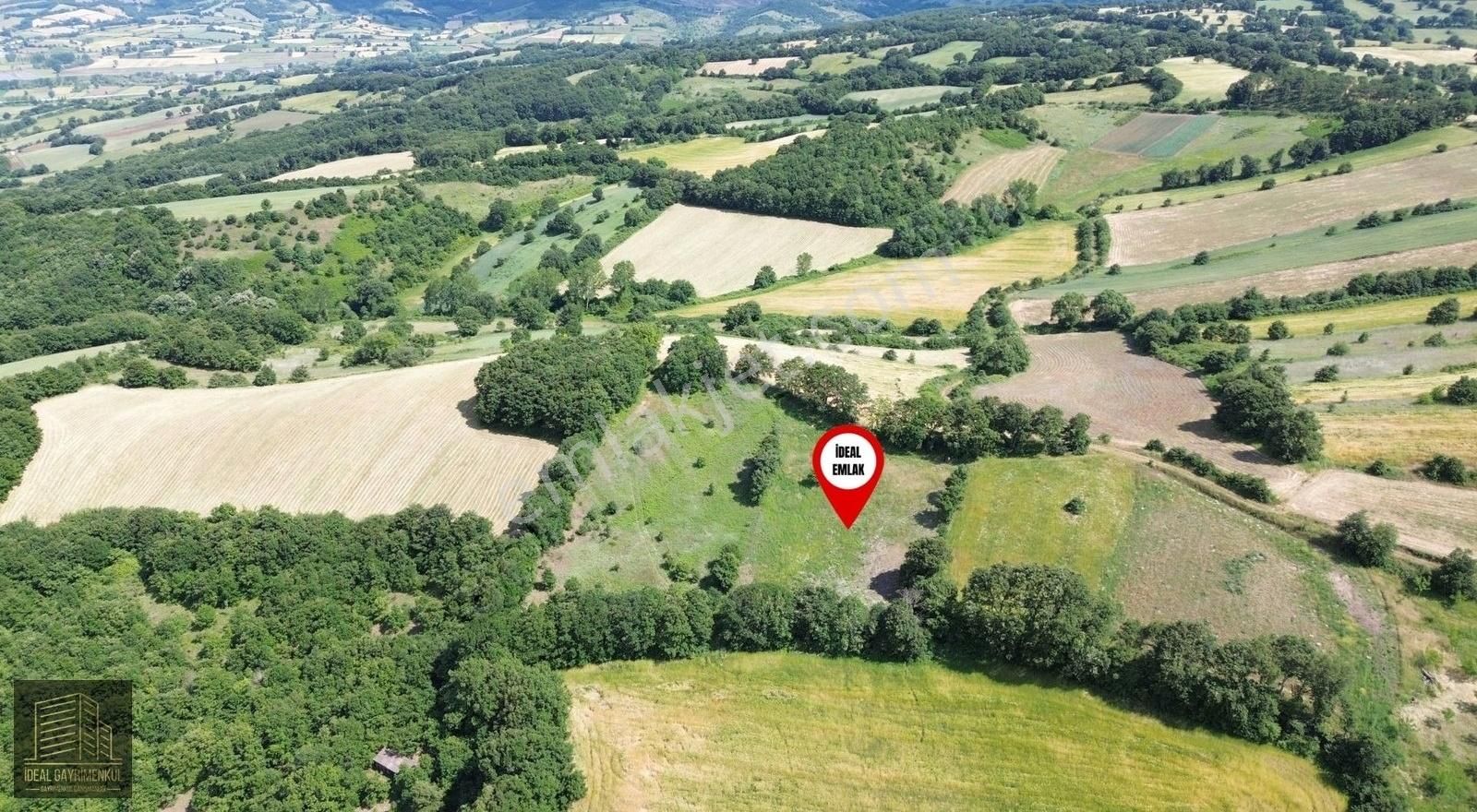 Altıkulaç Köyü'nde Hobi Bahçesi İçin İdeal 3.507 M2 Tarla - Görsel 30