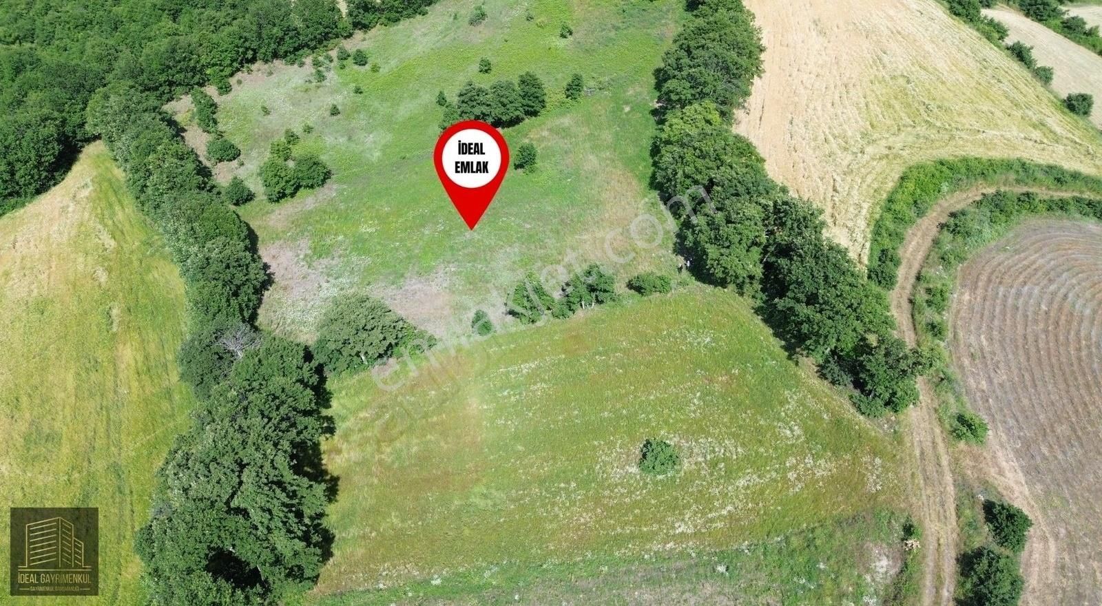 Altıkulaç Köyü'nde Hobi Bahçesi İçin İdeal 3.507 M2 Tarla - Görsel 10