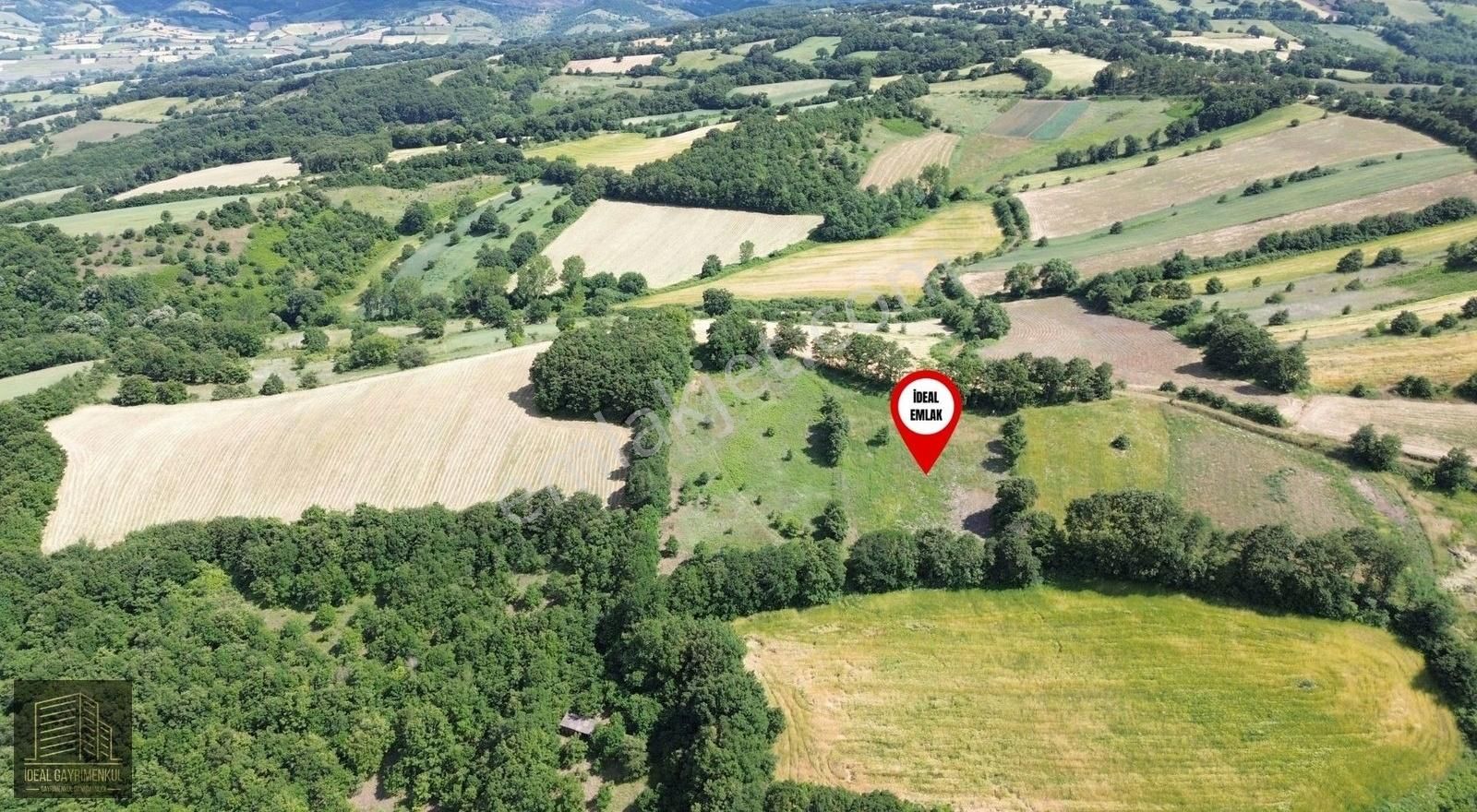 Altıkulaç Köyü'nde Hobi Bahçesi İçin İdeal 3.507 M2 Tarla - Görsel 8