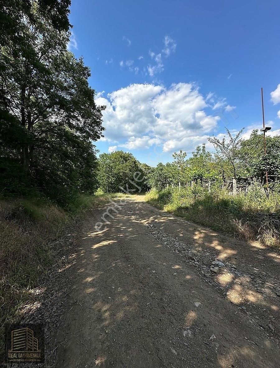 Altıkulaç Köyü'nde Hobi Bahçesi İçin İdeal 3.507 M2 Tarla - Görsel 34