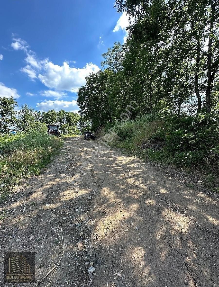 Altıkulaç Köyü'nde Hobi Bahçesi İçin İdeal 3.507 M2 Tarla - Görsel 7