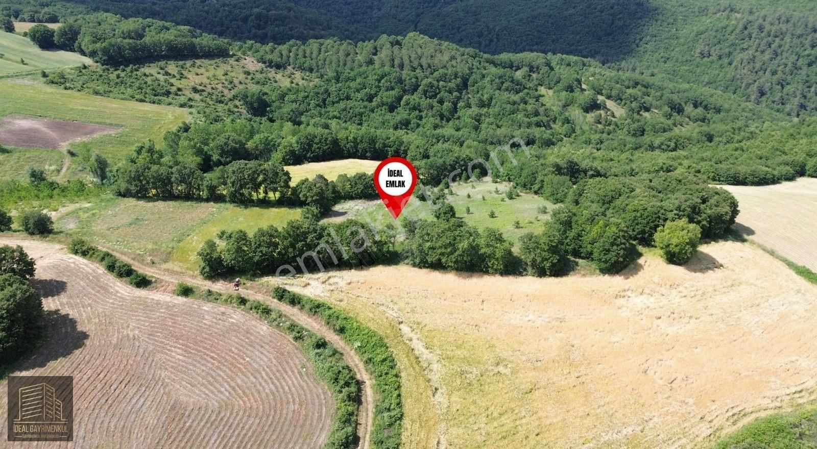 Altıkulaç Köyü'nde Hobi Bahçesi İçin İdeal 3.507 M2 Tarla - Görsel 13