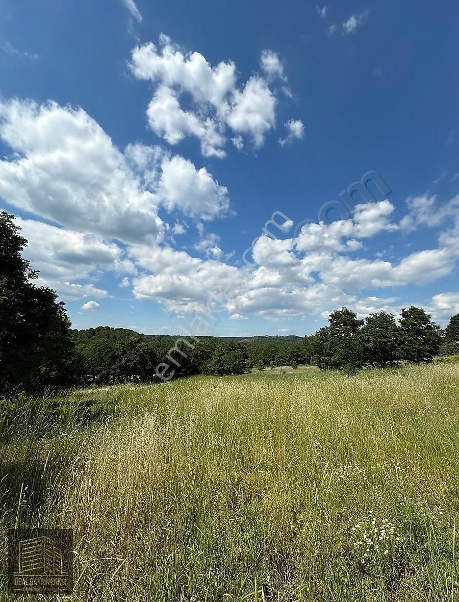 Altıkulaç Köyü'nde Hobi Bahçesi İçin İdeal 3.507 M2 Tarla - Görsel 22