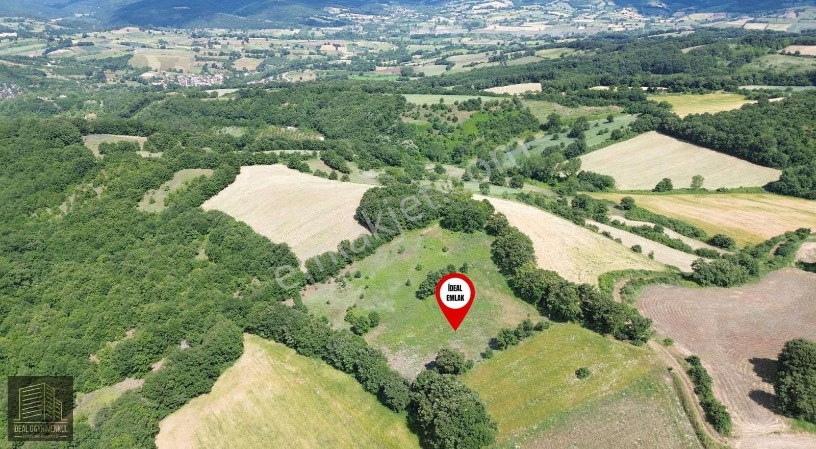 Altıkulaç Köyü'nde Hobi Bahçesi İçin İdeal 3.507 M2 Tarla - Görsel 35