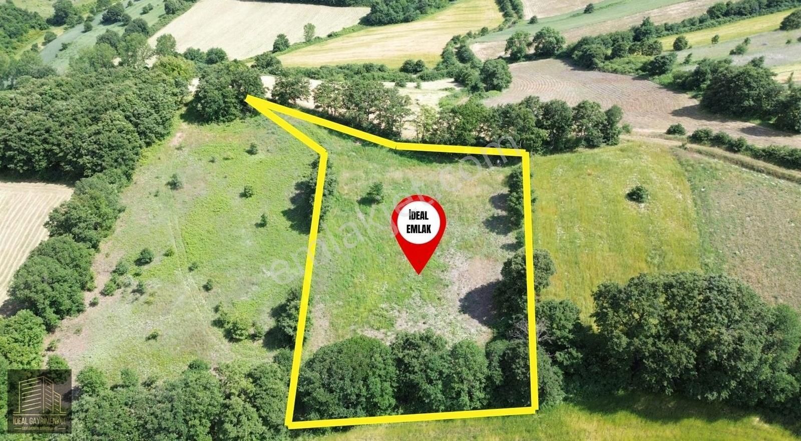 Altıkulaç Köyü'nde Hobi Bahçesi İçin İdeal 3.507 M2 Tarla - Görsel 31