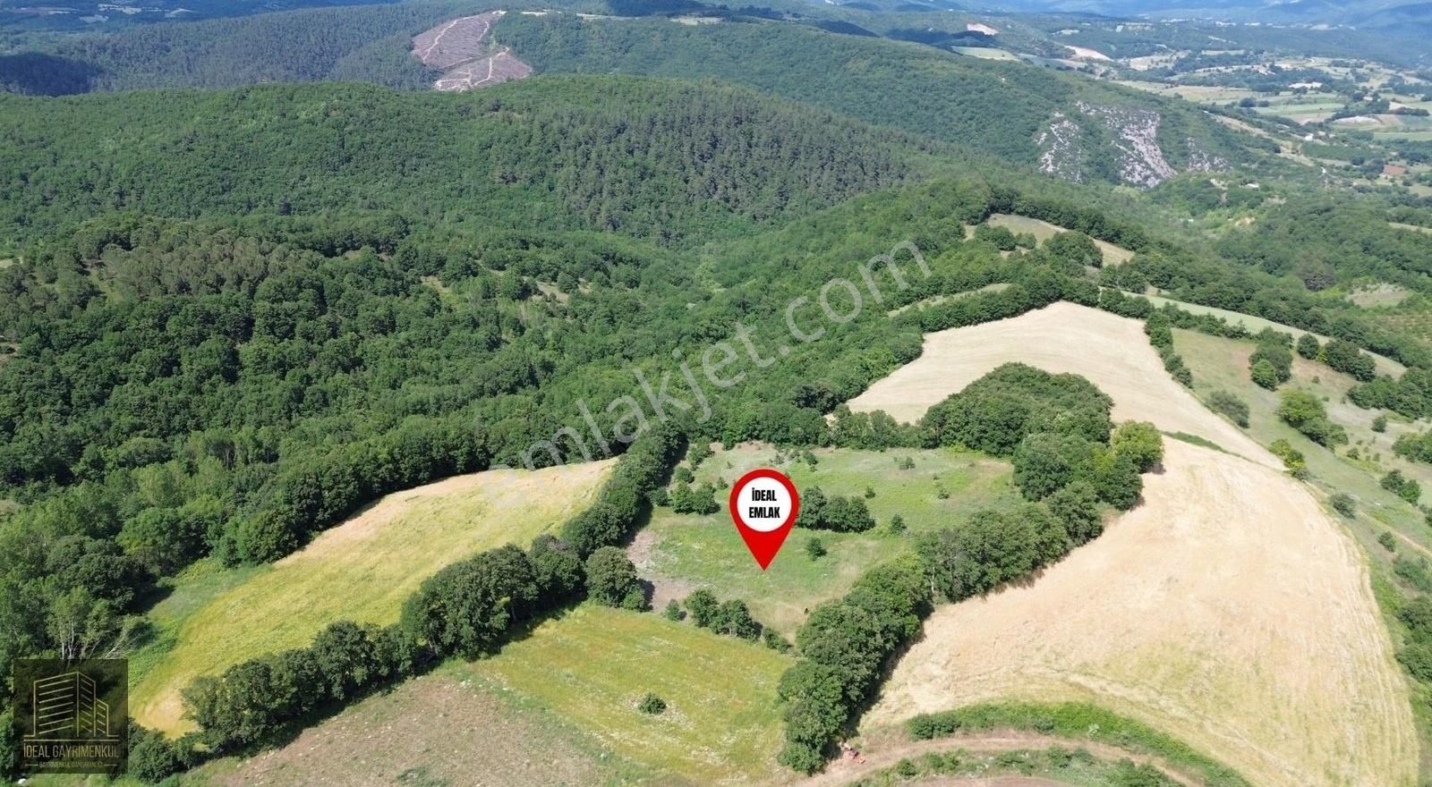 Altıkulaç Köyü'nde Hobi Bahçesi İçin İdeal 3.507 M2 Tarla - Görsel 21