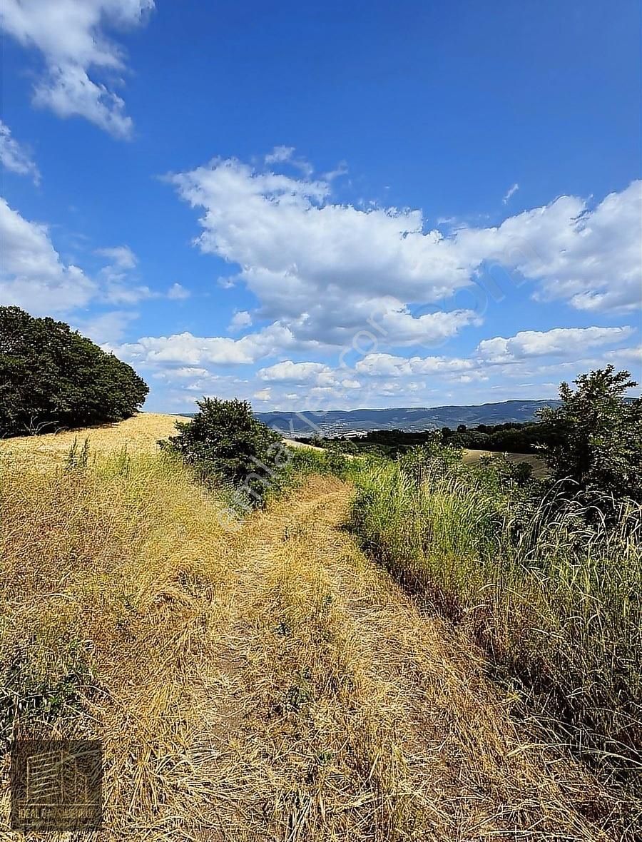 Altıkulaç Köyü'nde Hobi Bahçesi İçin İdeal 3.507 M2 Tarla - Görsel 33