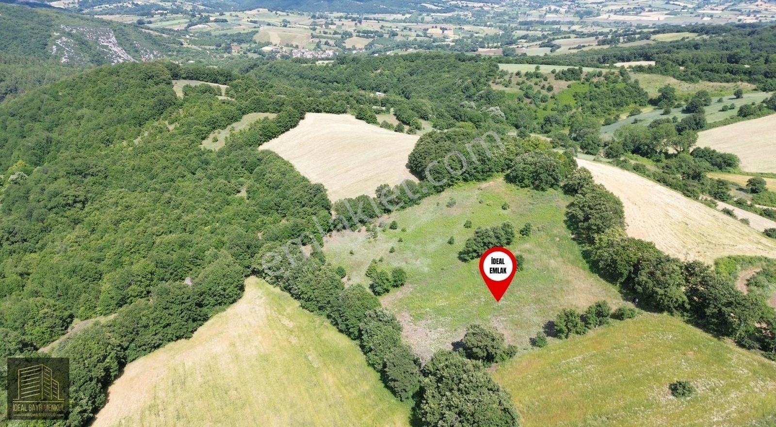 Altıkulaç Köyü'nde Hobi Bahçesi İçin İdeal 3.507 M2 Tarla - Görsel 2