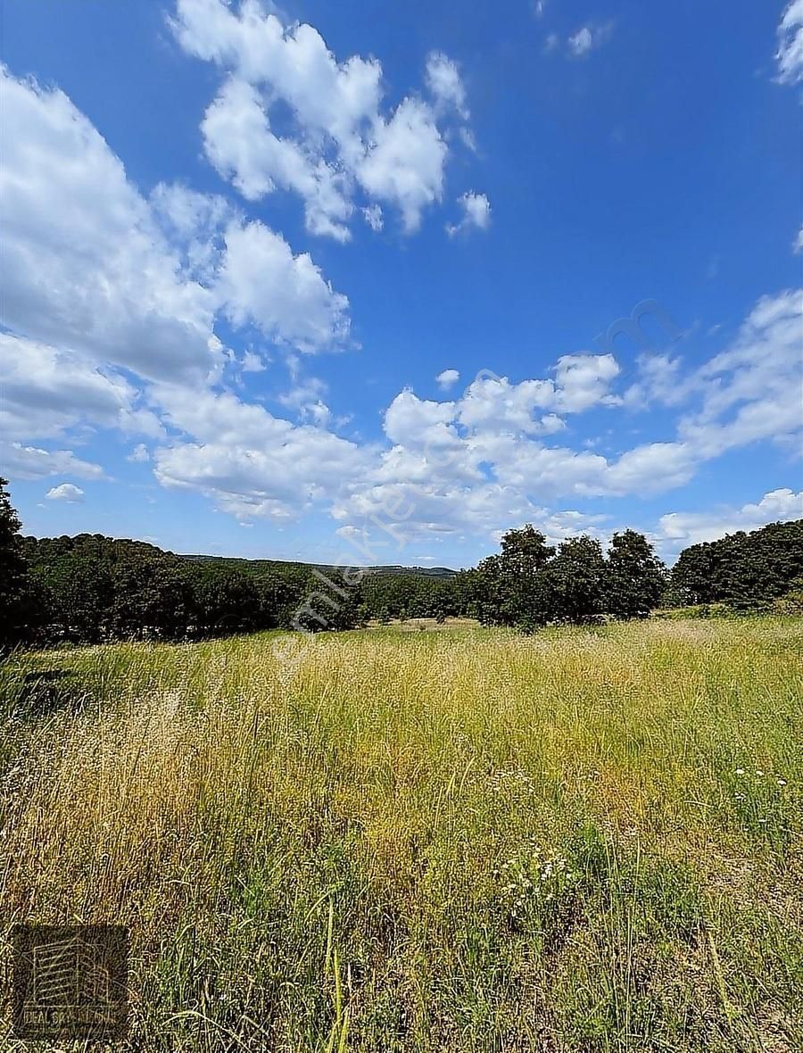 Altıkulaç Köyü'nde Hobi Bahçesi İçin İdeal 3.507 M2 Tarla - Görsel 26