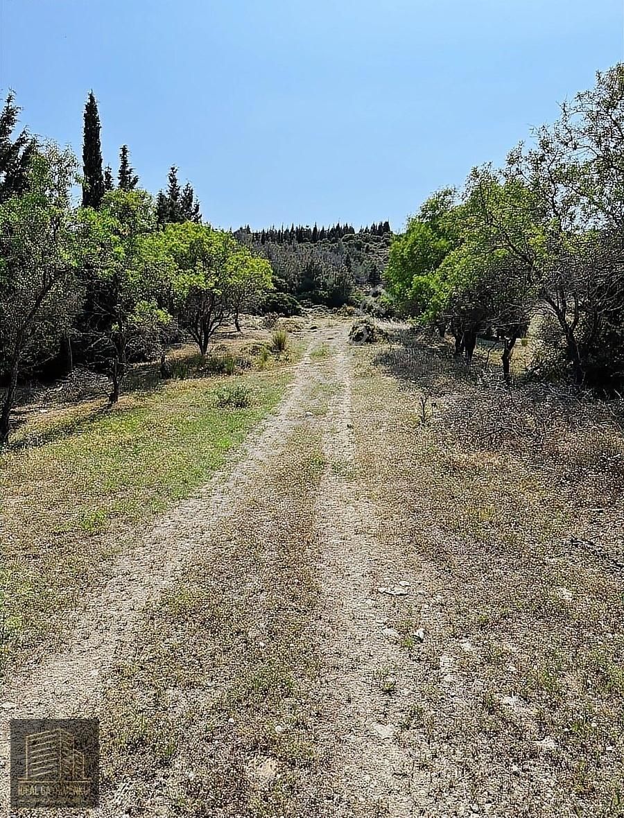 Eceabat Beşyol'da Köy Merkezine Çok Yakın 4.769 M2 Tarla - Görsel 7