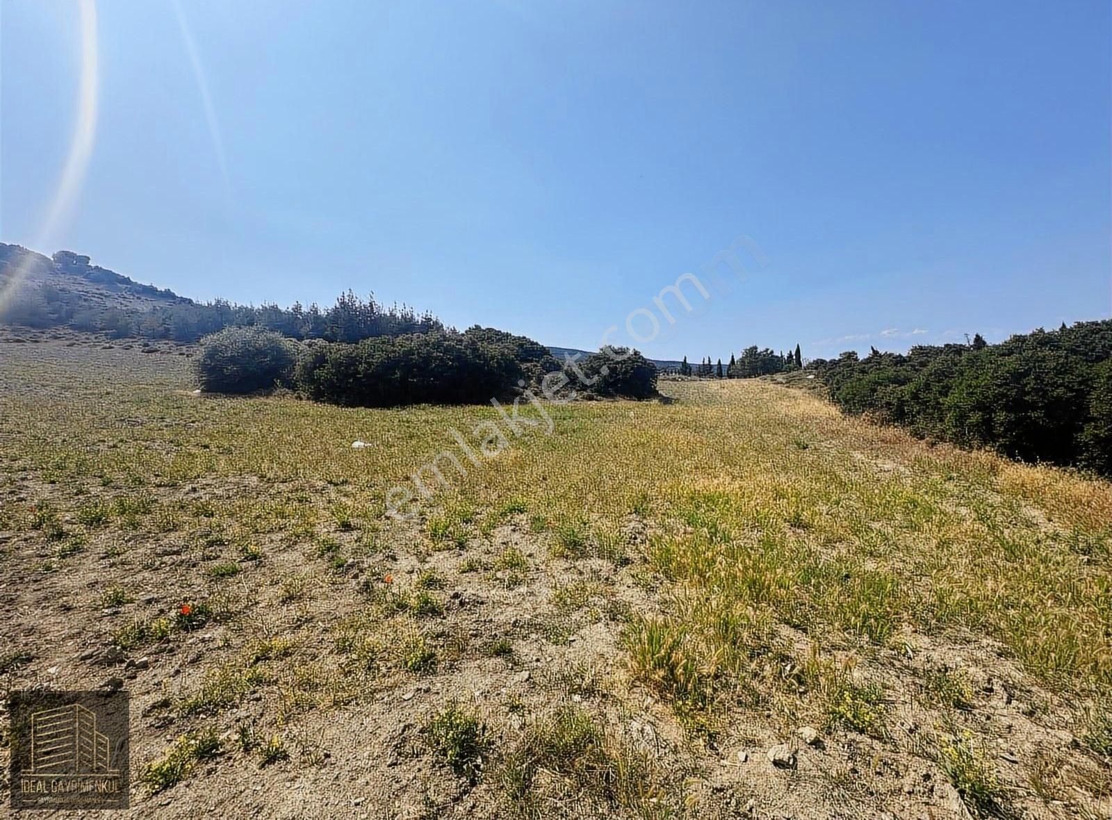 Eceabat Beşyol'da Köy Merkezine Çok Yakın 4.769 M2 Tarla - Görsel 3