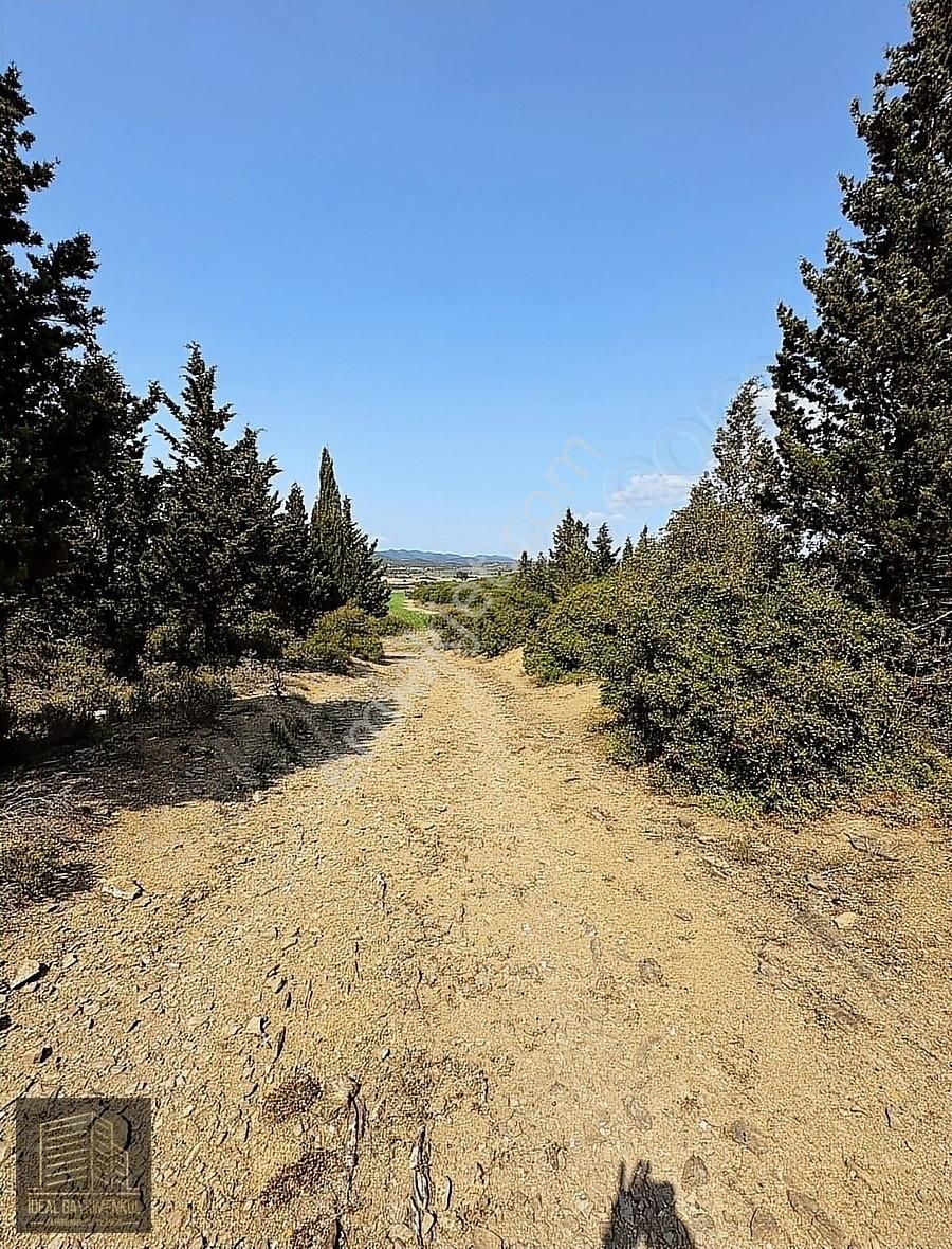 Eceabat Beşyol'da Köy Merkezine Çok Yakın 4.769 M2 Tarla - Görsel 5