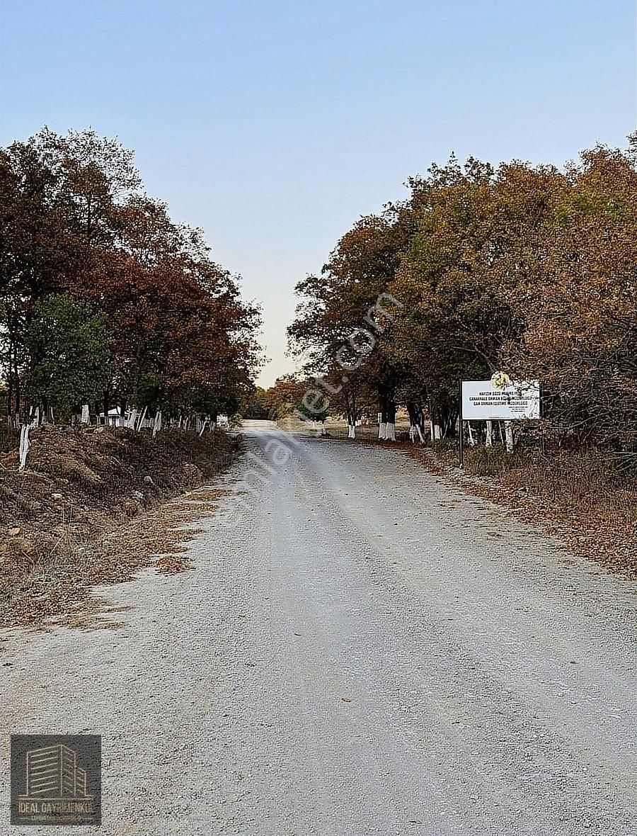 Fırsat Fiyatta!!! Çanakkale Çan Altıkulaç'ta 14.678 M2 Arazi - Görsel 24