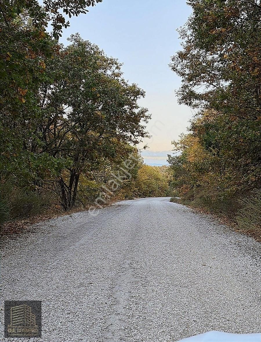 Fırsat Fiyatta!!! Çanakkale Çan Altıkulaç'ta 14.678 M2 Arazi - Görsel 22