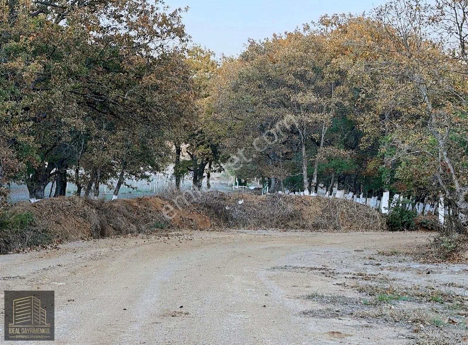 Fırsat Fiyatta!!! Çanakkale Çan Altıkulaç'ta 14.678 M2 Arazi - Görsel 12