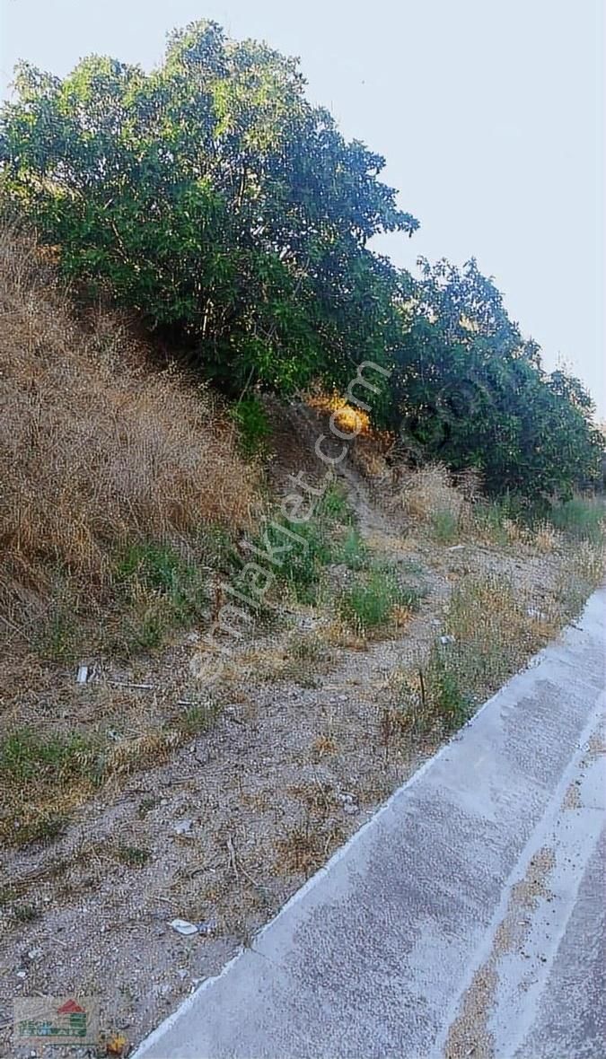 Necip Emlaktan Satılık Anayola Cephe Bahçe - Görsel 9