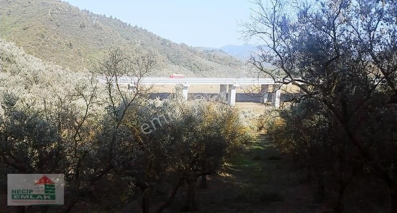 Necip Emlaktan Satılık Anayola Cephe Bahçe - Görsel 12
