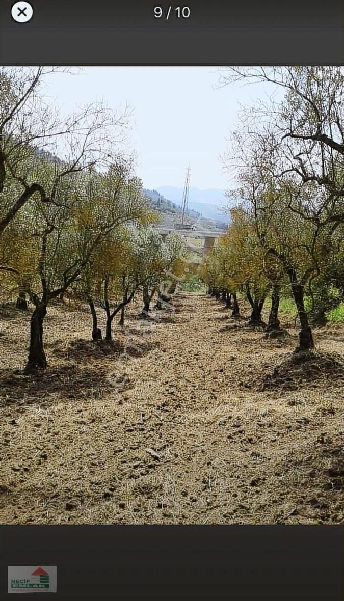Necip Emlaktan Satılık Anayola Cephe Bahçe - Görsel 8