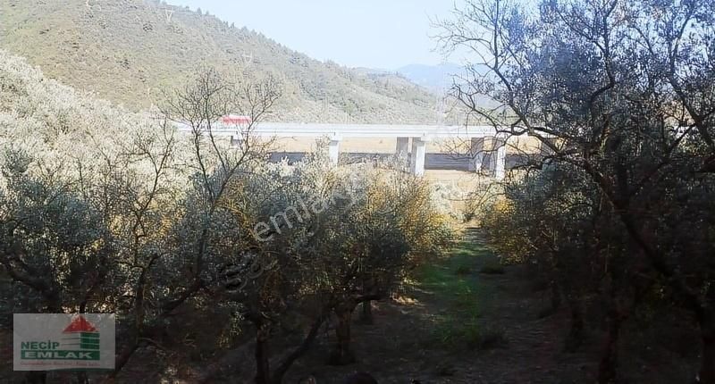 Necip Emlaktan Satılık Anayola Cephe Bahçe - Görsel 3