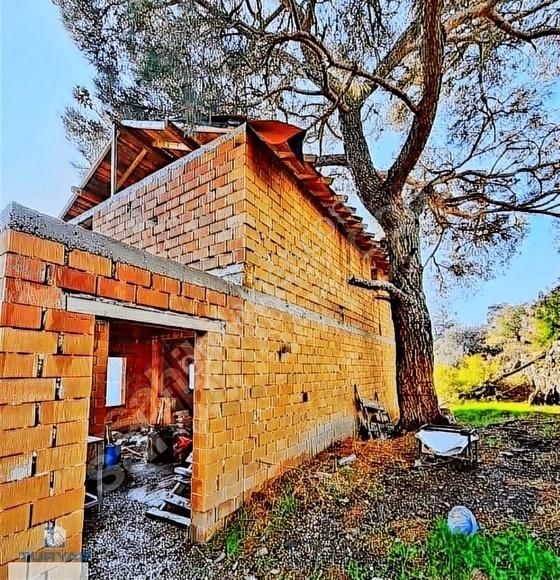 Torbalı Düverlik Mah 5230m2 Tek Tapu Zeytinlik - Görsel 15