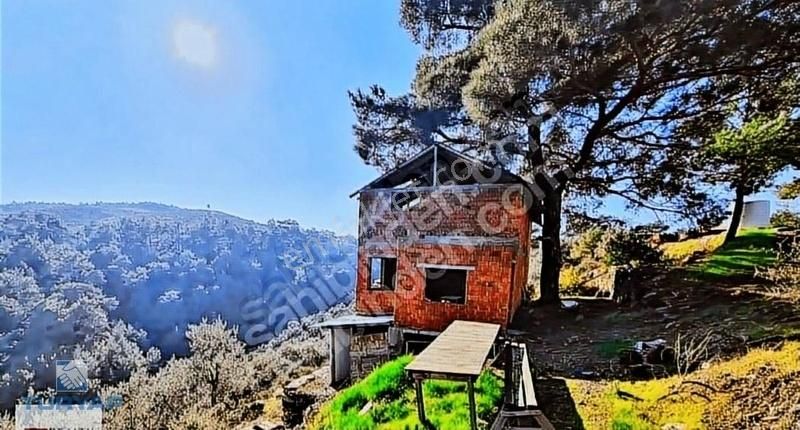 Torbalı Düverlik Mah 5230m2 Tek Tapu Zeytinlik - Görsel 14