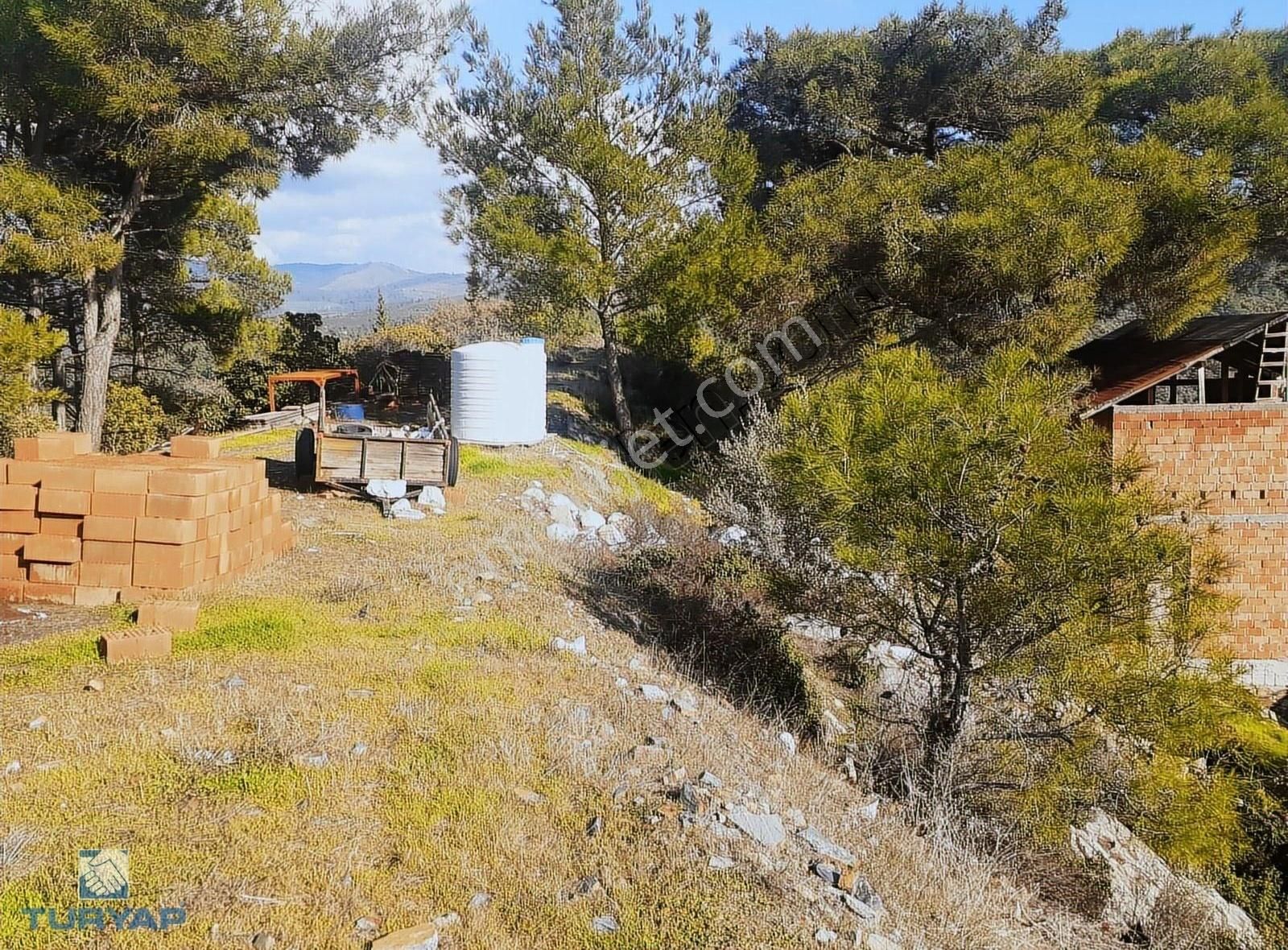 Torbalı Düverlik Mah 5230m2 Tek Tapu Zeytinlik - Görsel 7