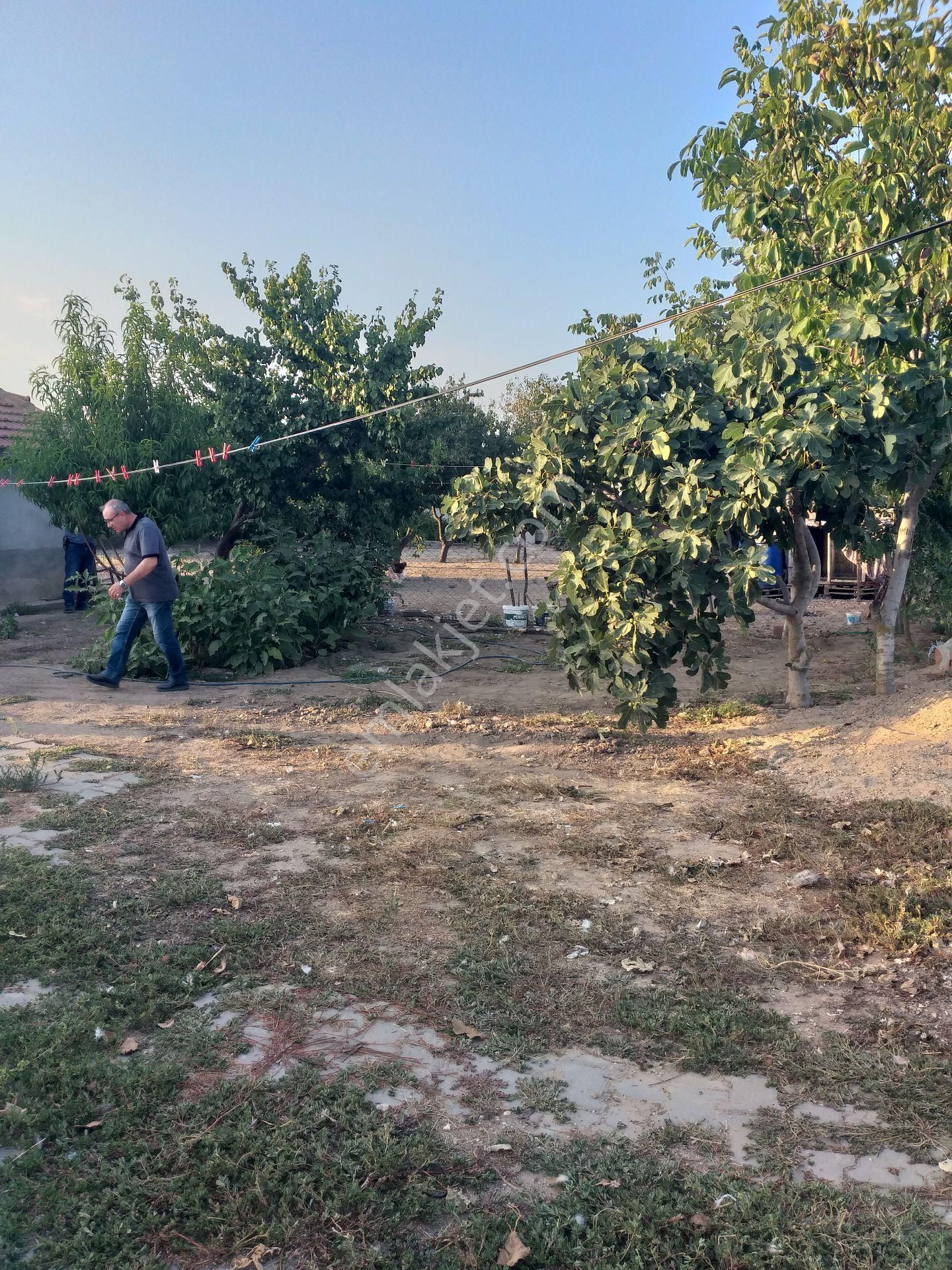 Edirne Uzunköprü Satılık 700m2 Arsalı Köy Evi - Görsel 9