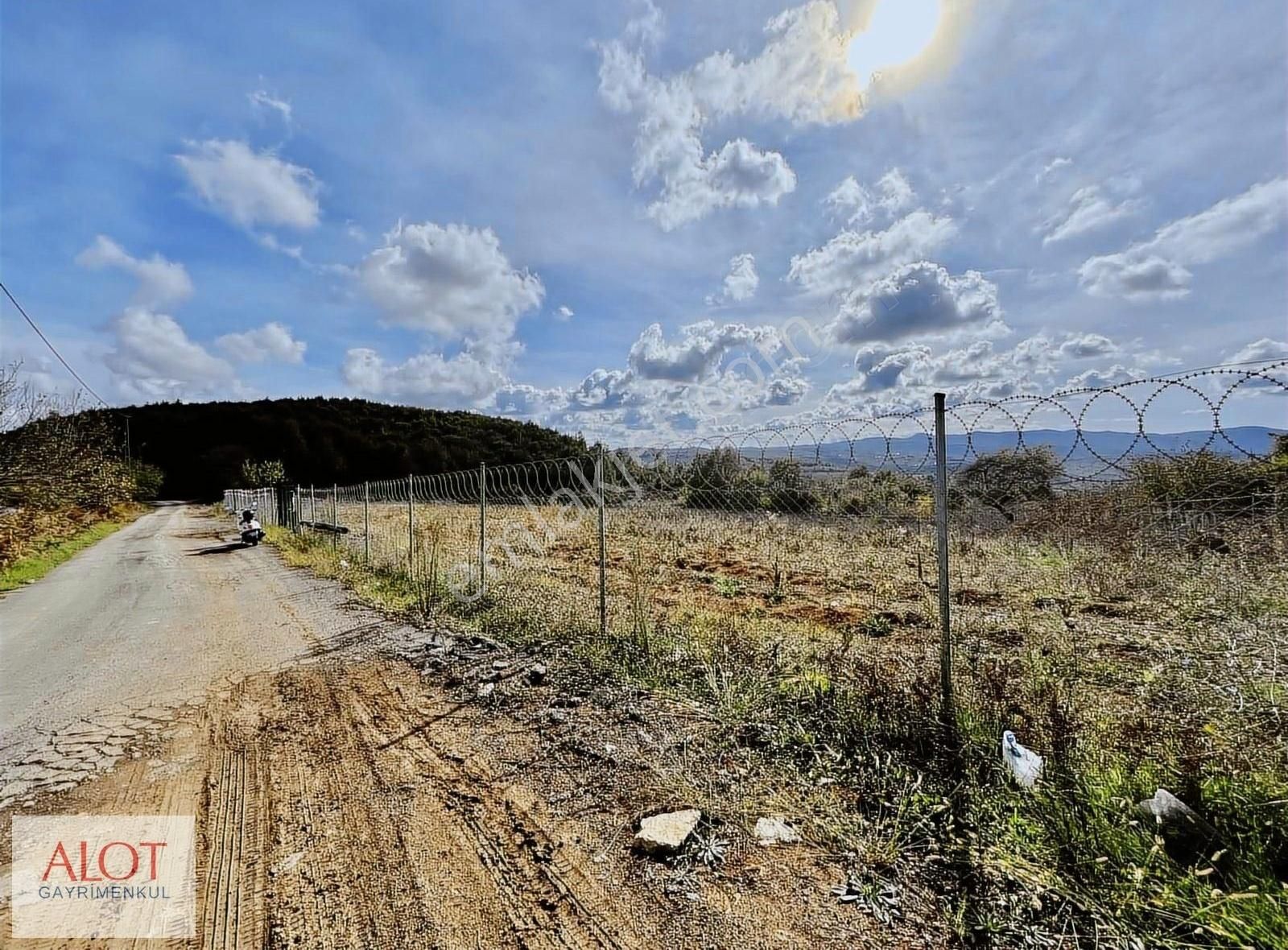 Şile Çelebi De Satılık 5653m2 Tarla - Görsel 22