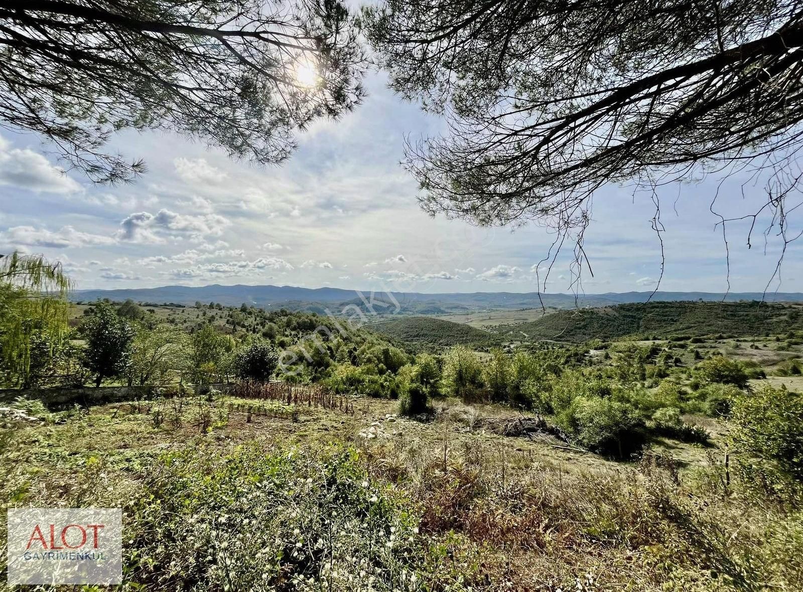 Şile Çelebi De Satılık 5653m2 Tarla - Görsel 6